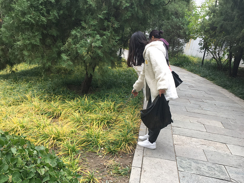 參與北京柳蔭公園保護(hù)活動